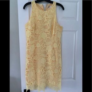Embroidered Lace shift dress